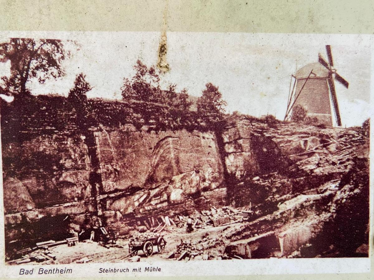 "An Der Alten Muehle 1" Fewo 120 Qm, Zwei Grosse Schlafzimmer, Suedbalkon, Gartenterrasse & Wallbox Bad Bentheim Dış mekan fotoğraf