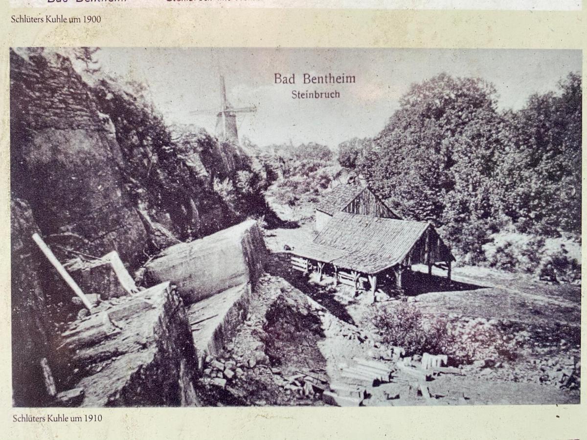 "An Der Alten Muehle 1" Fewo 120 Qm, Zwei Grosse Schlafzimmer, Suedbalkon, Gartenterrasse & Wallbox Bad Bentheim Dış mekan fotoğraf